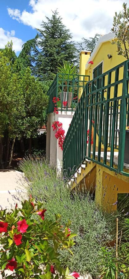 סטארי גראד Apartments Vukovic מראה חיצוני תמונה
