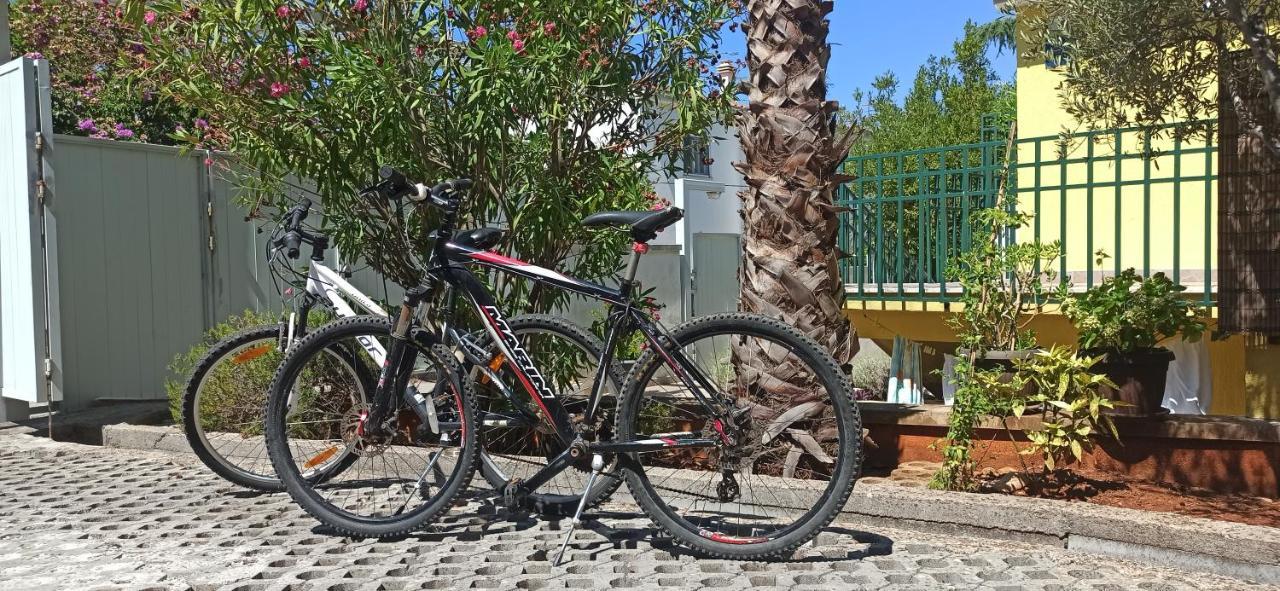 סטארי גראד Apartments Vukovic מראה חיצוני תמונה
