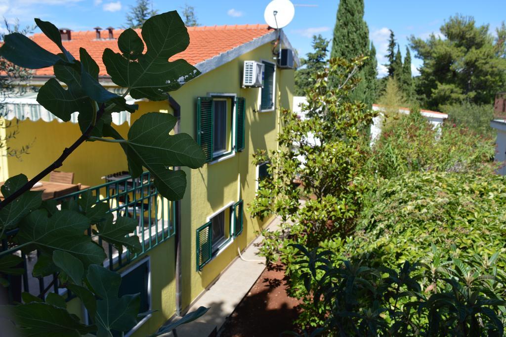 סטארי גראד Apartments Vukovic מראה חיצוני תמונה