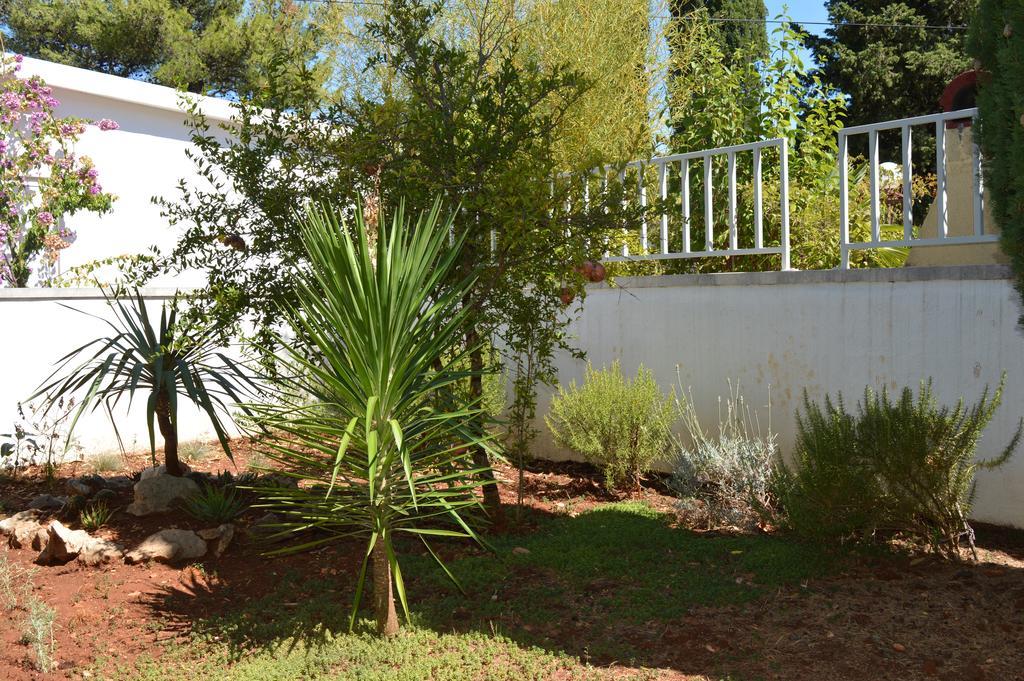 סטארי גראד Apartments Vukovic מראה חיצוני תמונה