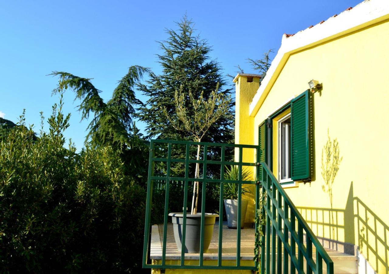 סטארי גראד Apartments Vukovic מראה חיצוני תמונה
